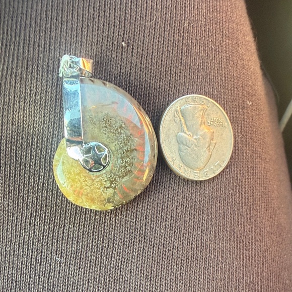 Dendritic Ammonite Plated Sterling 925 Pendant Nautilus (a) - Picture 3 of 3